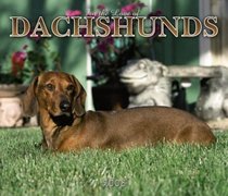 For the Love of Dachshunds Deluxe 2005 Wall Calendar