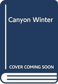 Canyon Winter