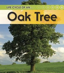 Oak Tree: 2nd Edition (Life Cycle of An)