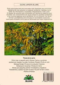 Coniferas - Guias de Jardin Blume (Spanish Edition)