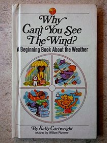 Why Can't You See the Wind?  a Beginning Book About the Weather