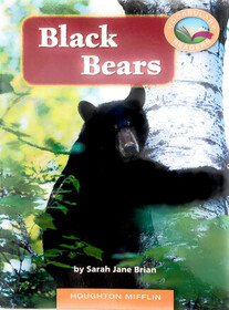 Black Bears (Vocabulary Readers)