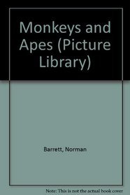 Monkeys and Apes (Picture Library)