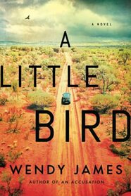 A Little Bird: A Novel