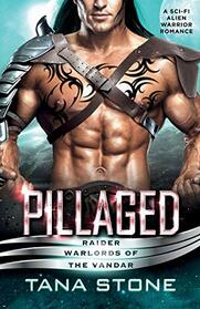 Pillaged: A Sci-Fi Alien Warrior Romance (Raider Warlords of the Vandar)