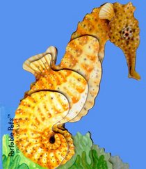 Portable Pets: Seahorse (Portable Pets)