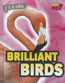 Brilliant Birds (Read Me!: Extreme Animals)