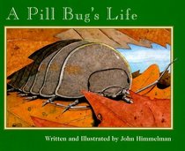 A Pill Bug's Life (Nature Upclose)
