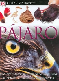 Pajaro (DK Eyewitness Books) (Spanish Edition)