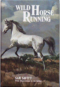 Wild Horse Running