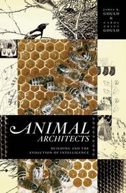 Animal Architects: Building and the Evolution of Intelligence