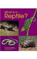 What Is a Reptile? (Pebble Books)