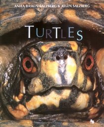Turtles (First Books - Animals)