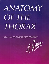 Anatomy of the Thorax