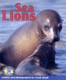 Sea Lions (Early Bird Nature)