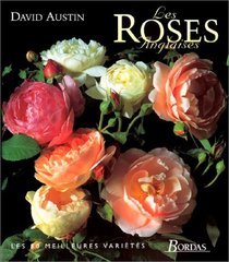 Les roses anglaises