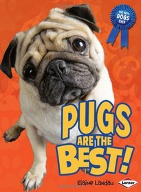 Pugs Are the Best! (The Best Dogs Ever)