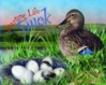 Starting Life: Duck