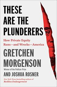 These Are the Plunderers: How Private Equity Runs?and Wrecks?America