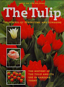 The Tulip: The Symbol of Springtime and Sunshine