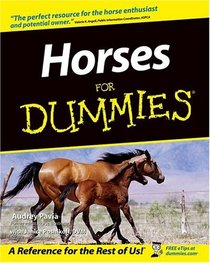 Horses for Dummies