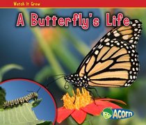 A Butterfly's Life (Acorn)