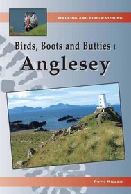 Anglesey (Birds, Boots and Butties)