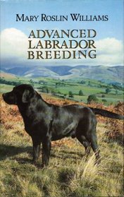 Advanced Labrador Breeding