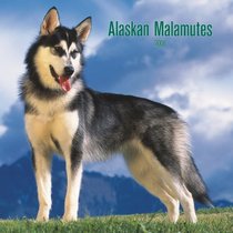 Alaskan Malamutes 2008 Square Wall Calendar (German, French, Spanish and English Edition)