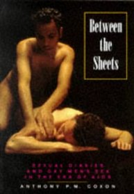 Between the Sheets: Sexual Diaries and Gay Men's Sex in the Era of AIDS (Sexual Politics)