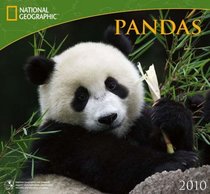 Pandas - 2010 National Geographic Wall Calendar