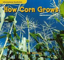 How Corn Grows
