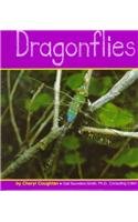 Dragonflies (Insects) (Insects (Mankato, Minn.).)