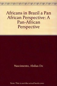 Africans in Brazil a Pan African Perspective: A Pan-African Perspective