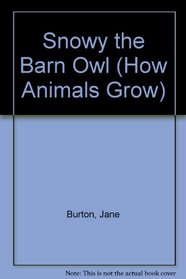 SNOWY THE BARN OWL (How Animals Grow)