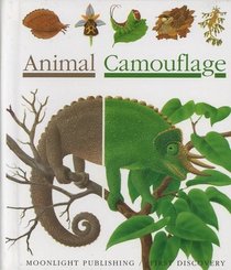 Animal Camouflage (First Discovery Series)
