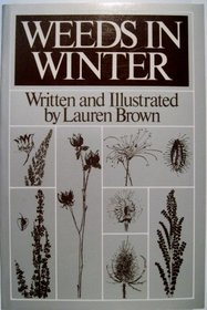 Weeds in Winter