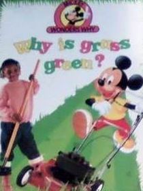 Why is grass green? (Mickey Wonders Why)