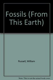 Fossils (From This Earth)