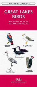 Great Lakes Birds: An Introduction to Familiar Species (Pocket Naturalist)