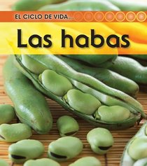 La habas / Beans (El Ciclo De Vida / Life Cycle of a) (Spanish Edition)