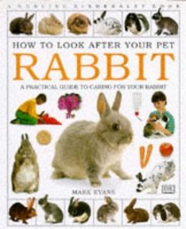 How to Look After Your Pet: Rabbit (How to Look After Your Pet)