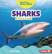Sharks: A First Look (Read about Ocean Animals) (Read for a Better World)