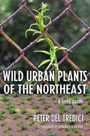 Wild Urban Plants of the Northeast: A Field Guide