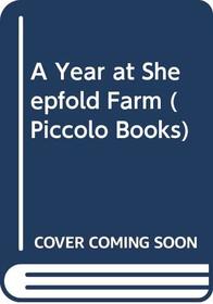 A Year at Sheepfold Farm (Piccolo Books)