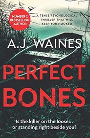 Perfect Bones: a tense psychological thriller that will keep you hooked