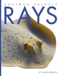 Rays (Amazing Animals)