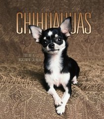 Chihuahuas 2005 Weekly Engagement Calendar