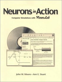 Neurons in Action: Computer Simulations With Neurolab
