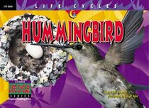 Hummingbird (Life Cycles)